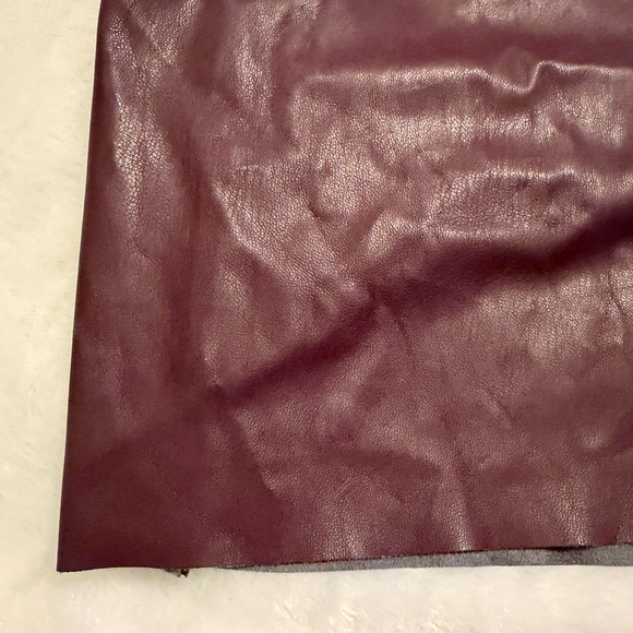 The Loft Faux Leather Mini Skirt - Picture 7 of 9